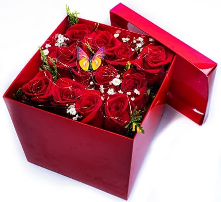 Imagen de Señal de amor Descripcion: Caja de 12 rosas con mariposa, brillos y perfume 