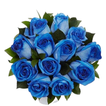 Imagen de Amar azul Descripcion: Ramo de 12 rosas azules teñidas.4 DIAS ANTES ENCARGARLAS ASI LAS PODEMOS TEÑIR.

 